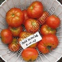Marmande Tomato Seeds