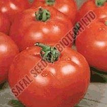 Moneymaker Tomato Seeds