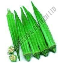 Parbhani Kranti Okra Seeds