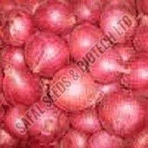 Poona Red Onion Seeds