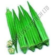 Pusa Sawani Okra Seeds