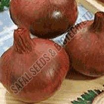 Red Creole Onion Seeds