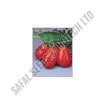 Rio Grande Tomato Seeds