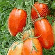 Roma VF Tomato Seeds