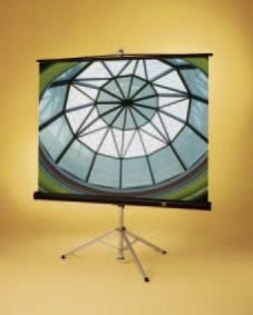 Diplomat Projection Screen