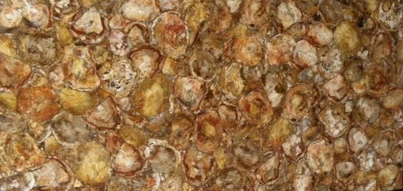 Petrified Wood Brown