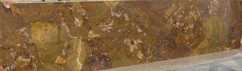 Petrified Wood Yellow