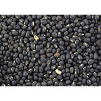 Black Matpe Beans