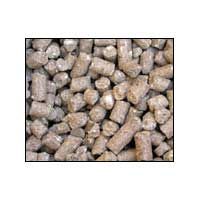 Cattle Feed Product-02