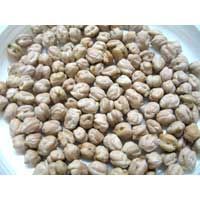 Garbanzo Beans