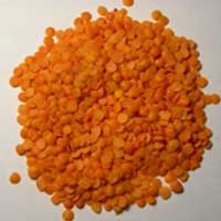 Red Lentils
