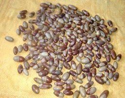 Shiva Lingam (1 Inch)