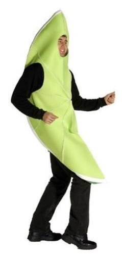 Adult Lime Costume Rental