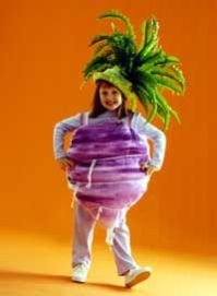 Pineapple Costume Rental