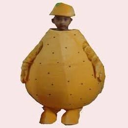 Potato Costume Rental