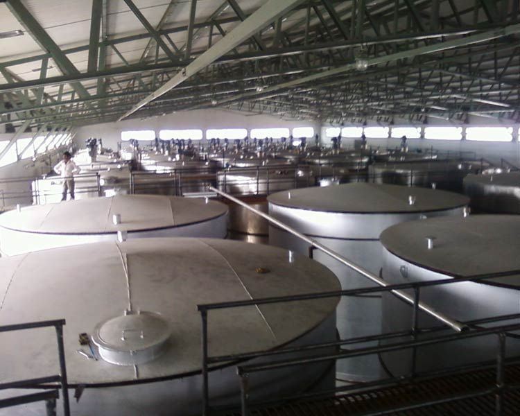 Bed Plate Fabrication 03