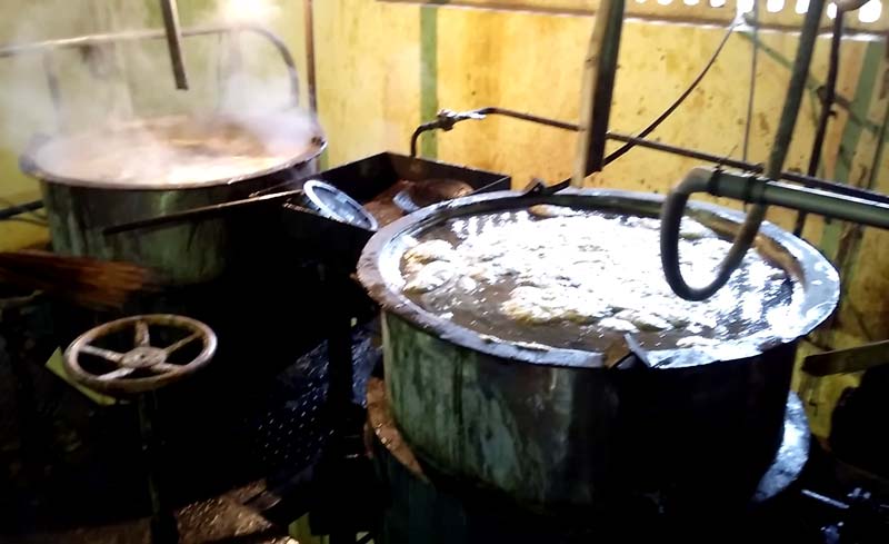 Floataion Clarifier for Scum Removal