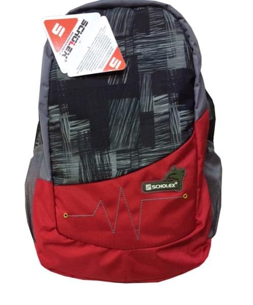 College Backpacks 05