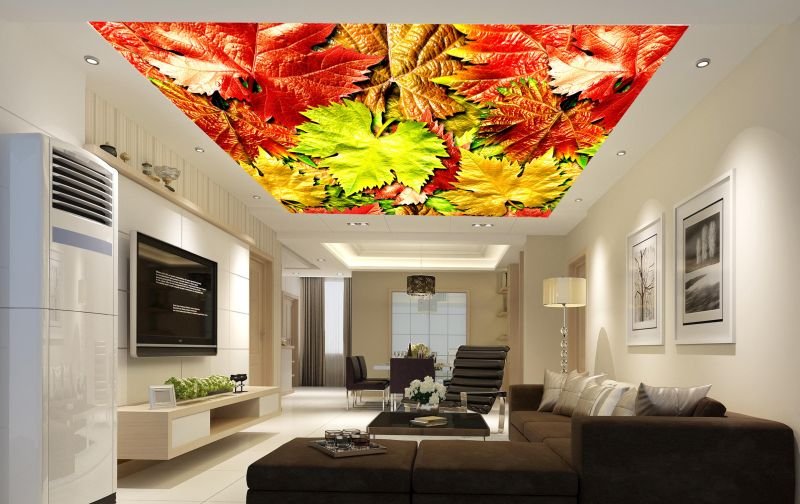 3D Ceiling Designing Service 02
