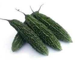 Prachand F1 Bitter Gourd Seeds