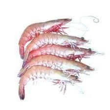 Frozen Prawns 01