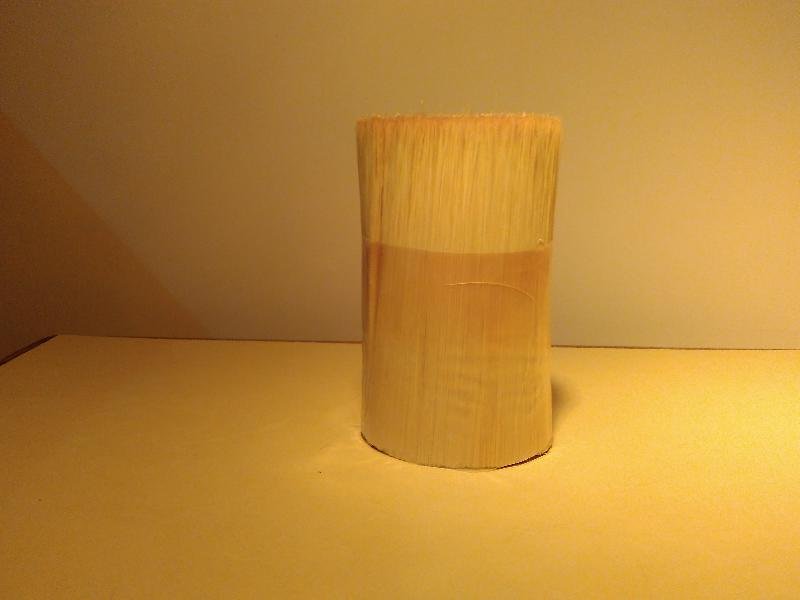 Chinese High Pick Up Brush Filament 06