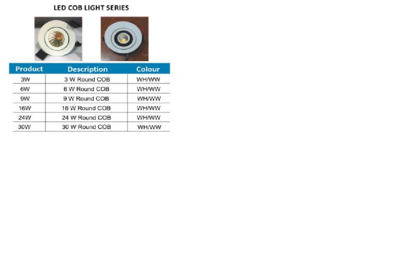 LED COB Light