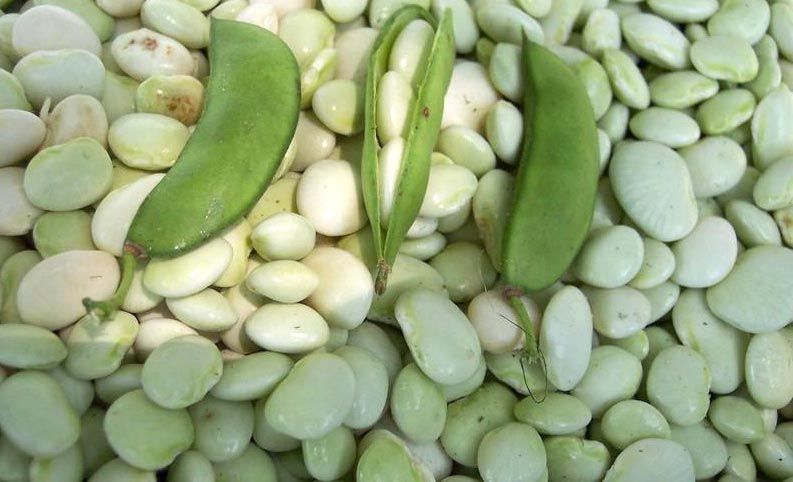 Lima Pea