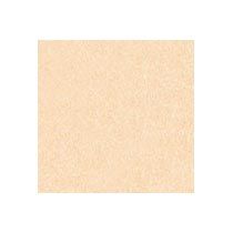 Anti Skid Ivory Tiles