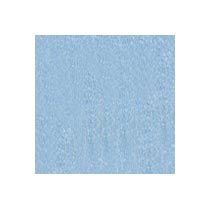 Anti Skid Blue Tiles