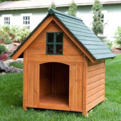 Dog Pet House 01