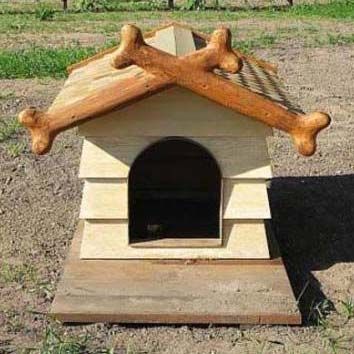 Dog Pet House 02
