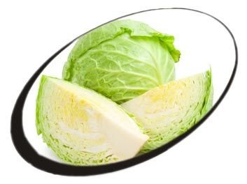 Cabbage