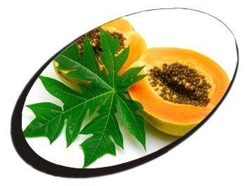 Papaya