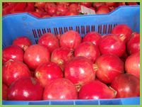 Fresh Pomegranate 03