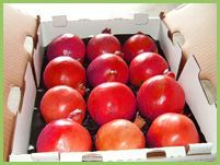 Fresh Pomegranate 04