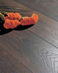 Capisto Fossil (PR-3A)