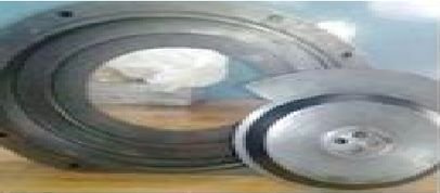 Mechanical Seal Ring 02