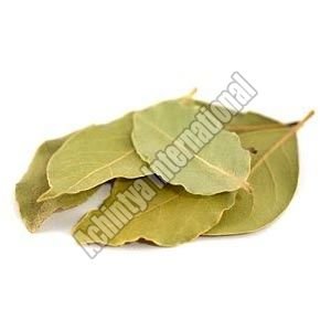 Bay Leaves