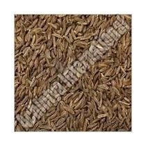 Cumin Seeds