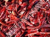 Dried Red Chilli