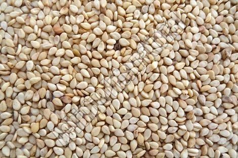 Sesame Seeds