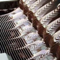 Plain Wire Mesh Conveyor Belt 03