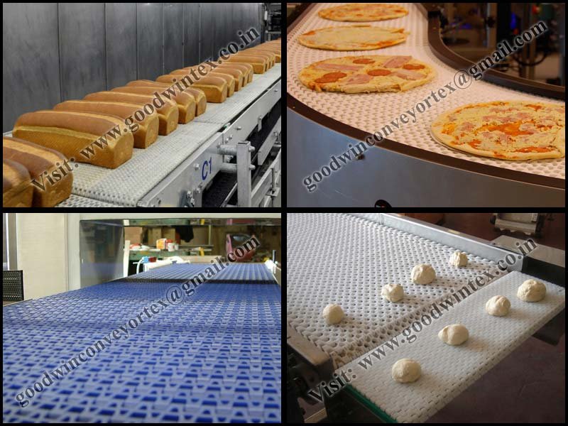 Plastic Modular Conveyor Belt 02