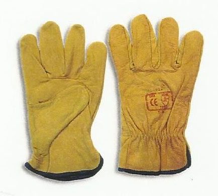 Item Code : DG-WT-206 A