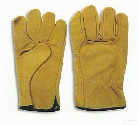 Item Code : DG-WT-206