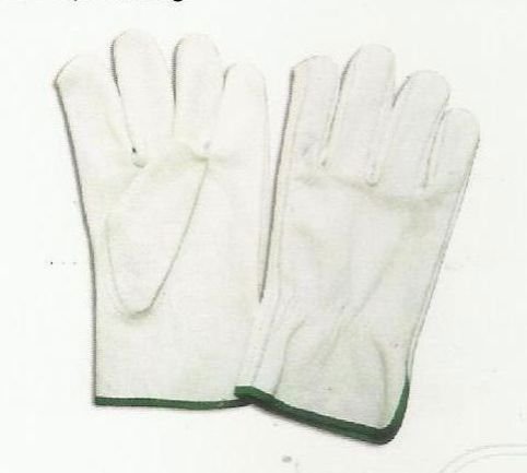 Item Code : DG-WT-232