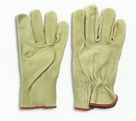 Item Code : DGB-WT-230