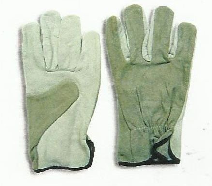 Item Code : DGS-WT-207