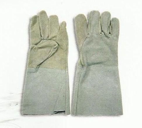 Item Code : WG-WT-244